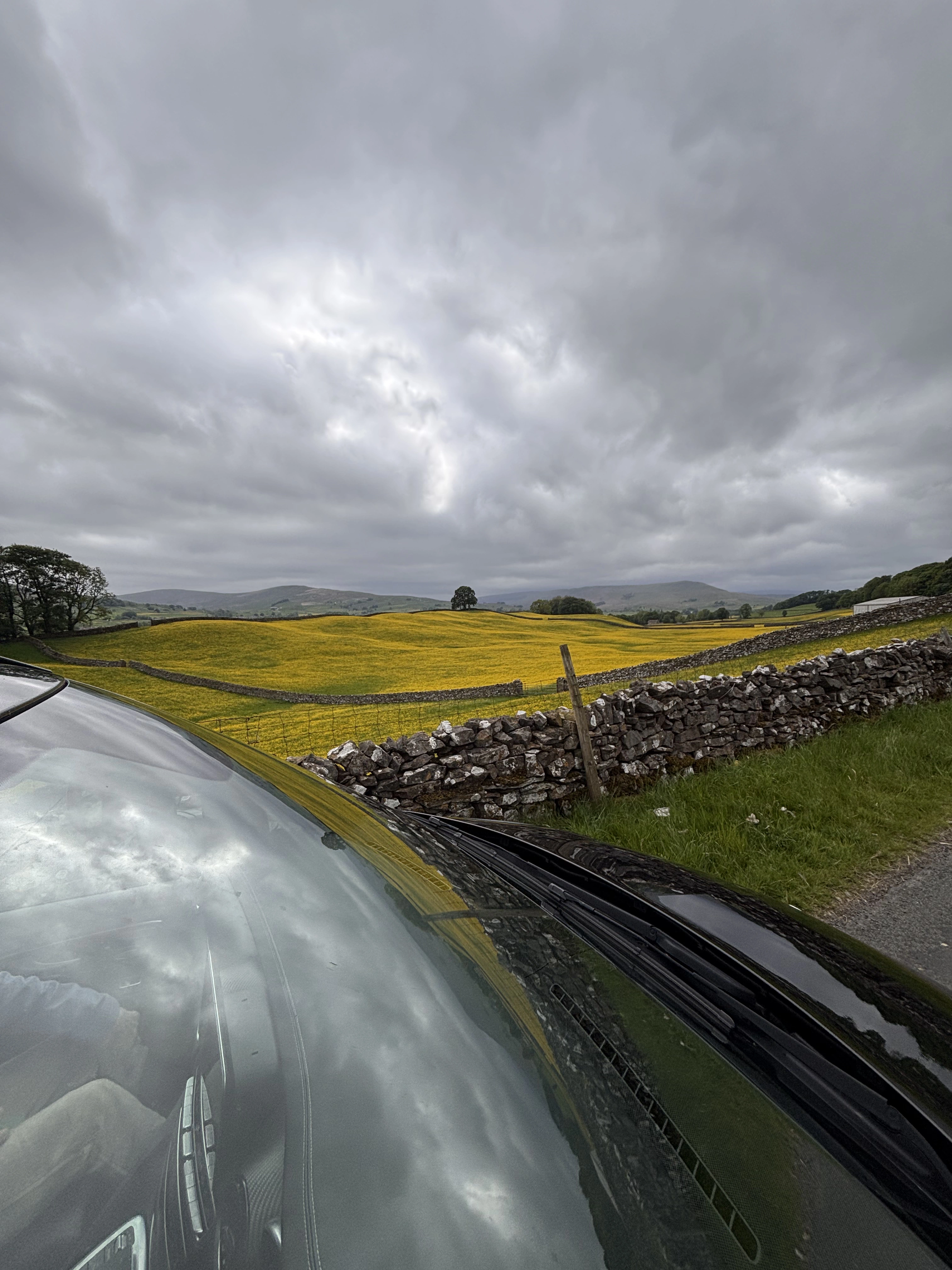 A private Mercedes-Benz V-Class beside buttercup fields in the Yorkshire Dales